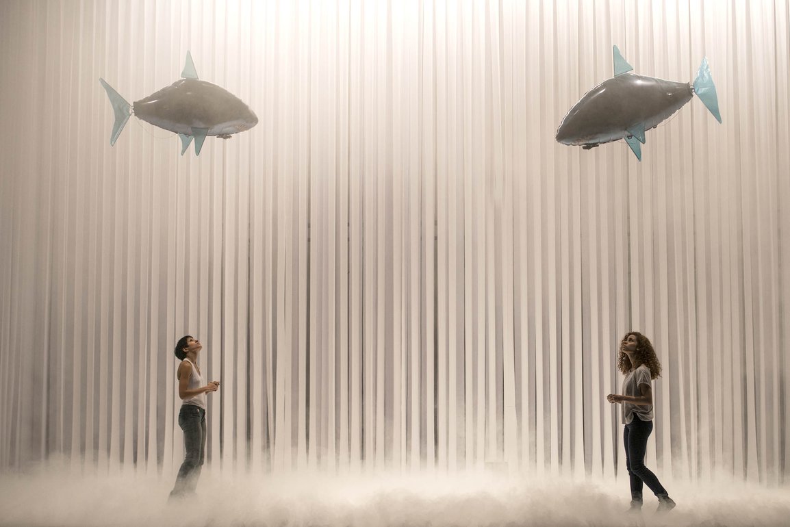 EL FUTURO DE LOS HIPOPÓTAMOS